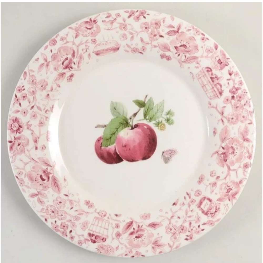 Pfaltzgraff Delicious Dinner Plates set of 2